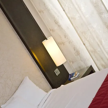 Western Du Pont Wilson Hotell Lyon